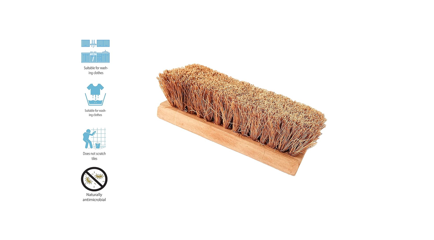 Palmera Value Coir Washing Brush (1, Large) (8 inch)