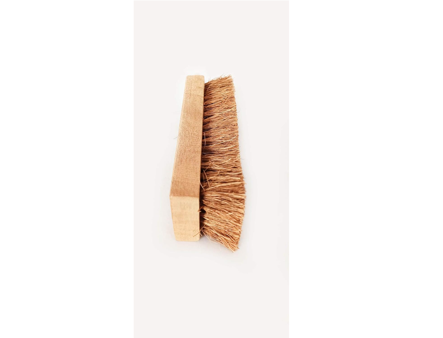 Palmera Value Coir Washing Brush (1, Large) (8 inch)