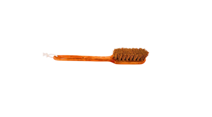 Palmera Coir Body Brush for Dry Brushing- Removes Dead Skin, Treats Cellulite & Stimulates Blood Flow (25cm, Brown) (Pack of 1)