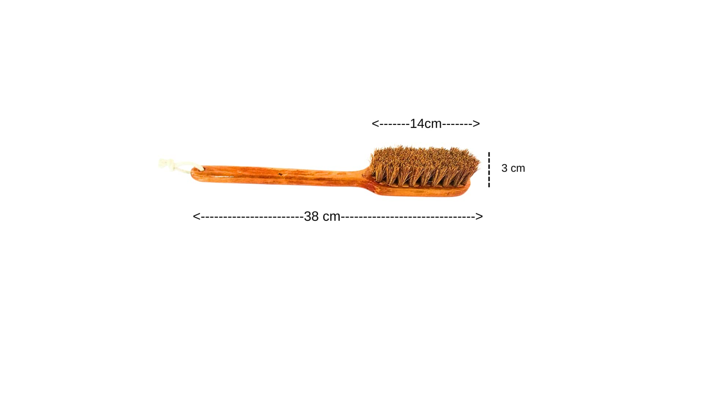 Palmera Coir Body Brush for Dry Brushing- Removes Dead Skin, Treats Cellulite & Stimulates Blood Flow (25cm, Brown) (Pack of 1)