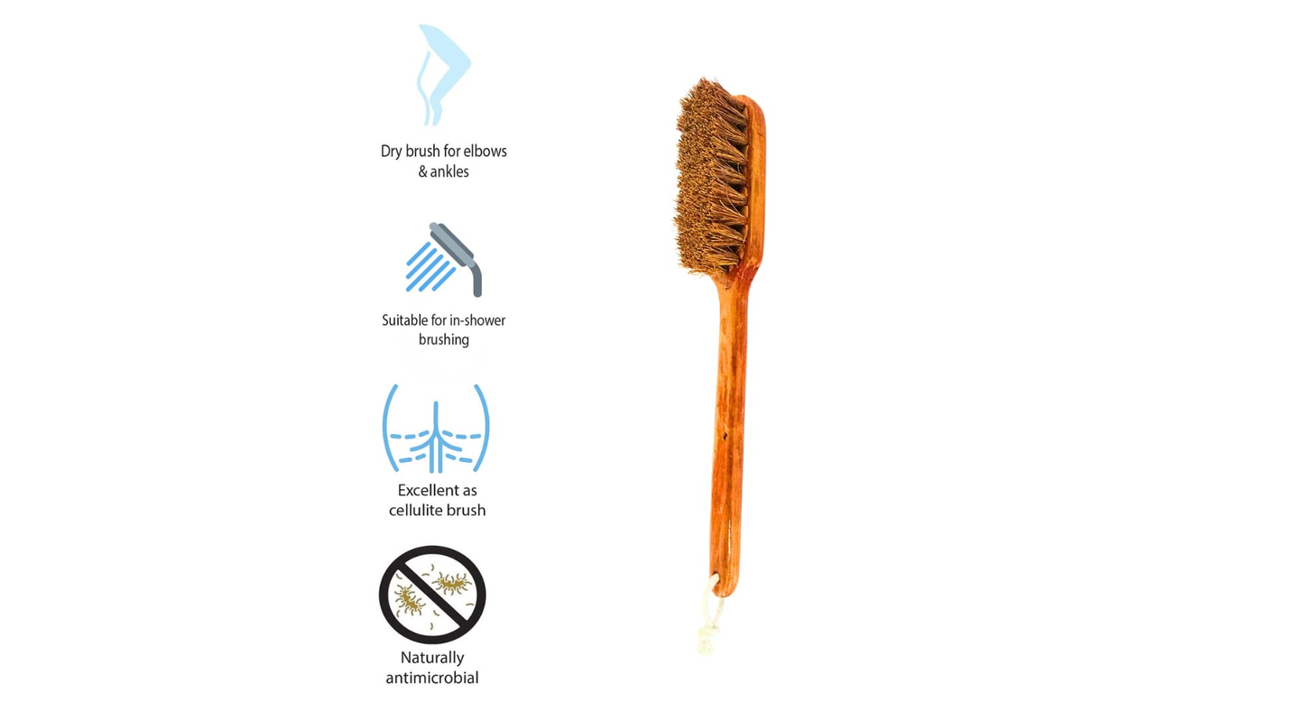 Palmera Coir Body Brush for Dry Brushing- Removes Dead Skin, Treats Cellulite & Stimulates Blood Flow (25cm, Brown) (Pack of 1)