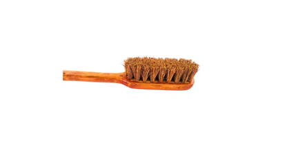 Palmera Coir Body Brush for Dry Brushing- Removes Dead Skin, Treats Cellulite & Stimulates Blood Flow (25cm, Brown) (Pack of 1)