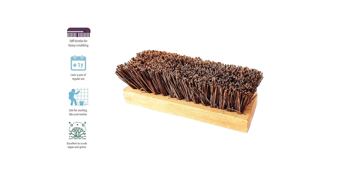 Palmera Value Bassine Brush Natural Material for Cleaning Bathroom,Home, Kitchen,Car Wheels,Outdoor Space Have Strong Coir Fiber Flexible Bristle Multipurpose & Durable - Small (1)