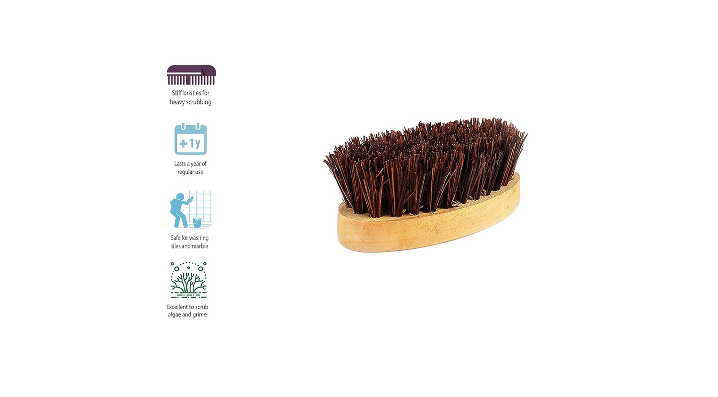 Pack of 6 Palmera Small Oval Brushes - Wooden Handle and Palmyrah Bristles - Suitable for Heavy scrubbing