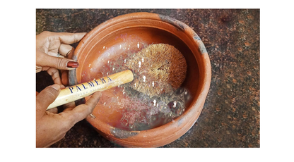 Palmera Kitchen Pot and Pan Coir Tawashi Brush