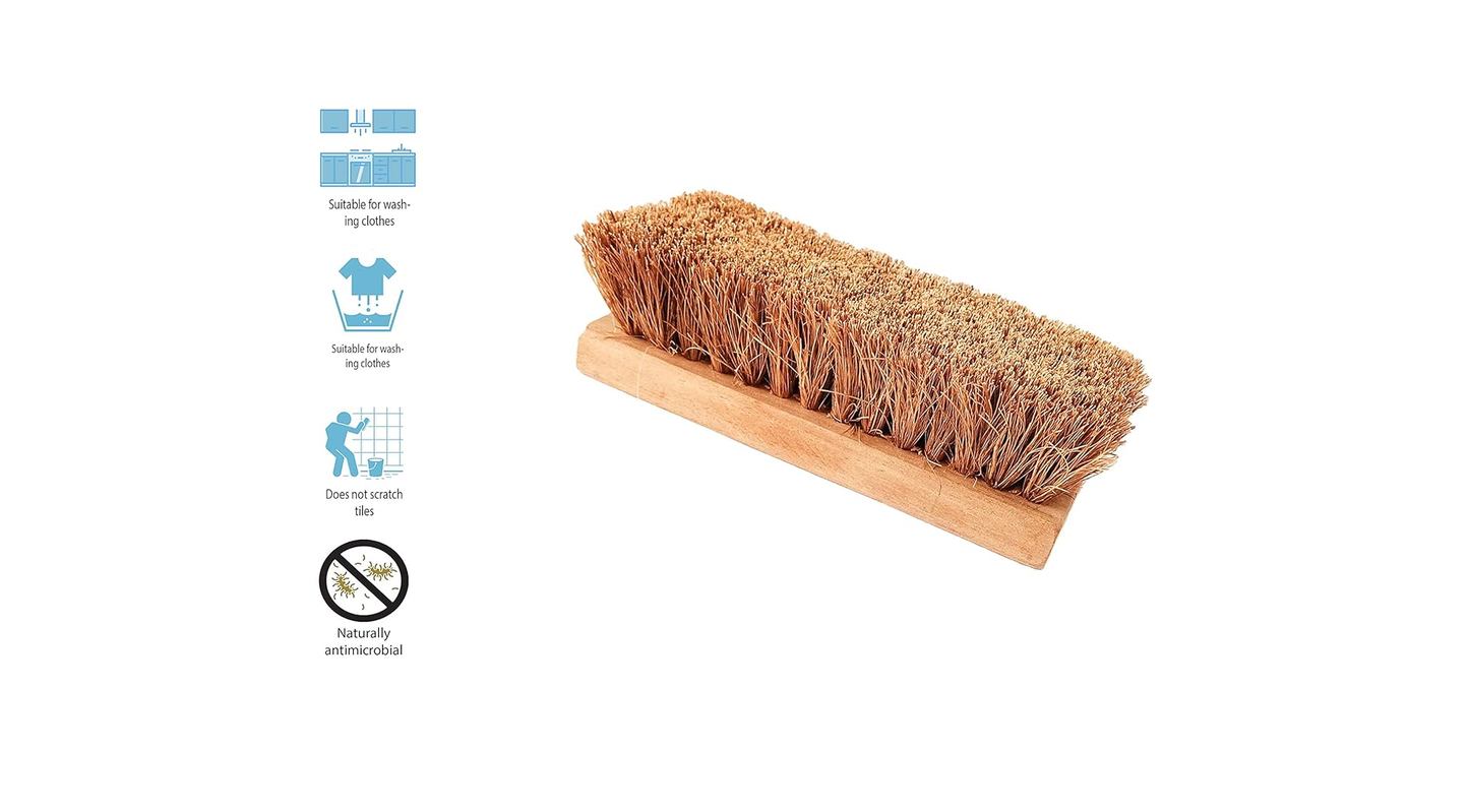 Palmera Value Coir Washing Brush (Neem Wood, Brown) (1, Small) (6 inch)