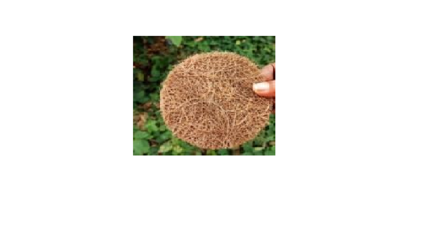 New Natural Coir Scrubber for Your Utensils (Pack of 12)